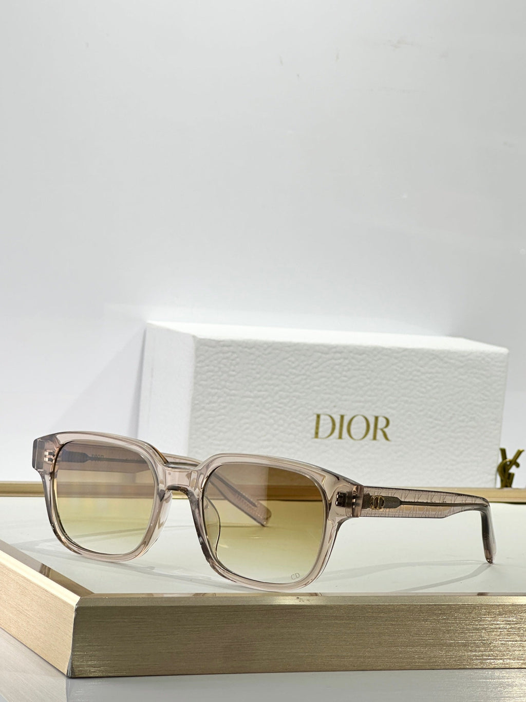 Dior CD lcon S4F Sunglasses